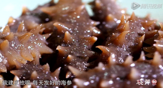 海參進(jìn)補(bǔ)從娃娃抓起，兒童吃海參的好處！