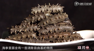 孝敬父母，為何首選海參？